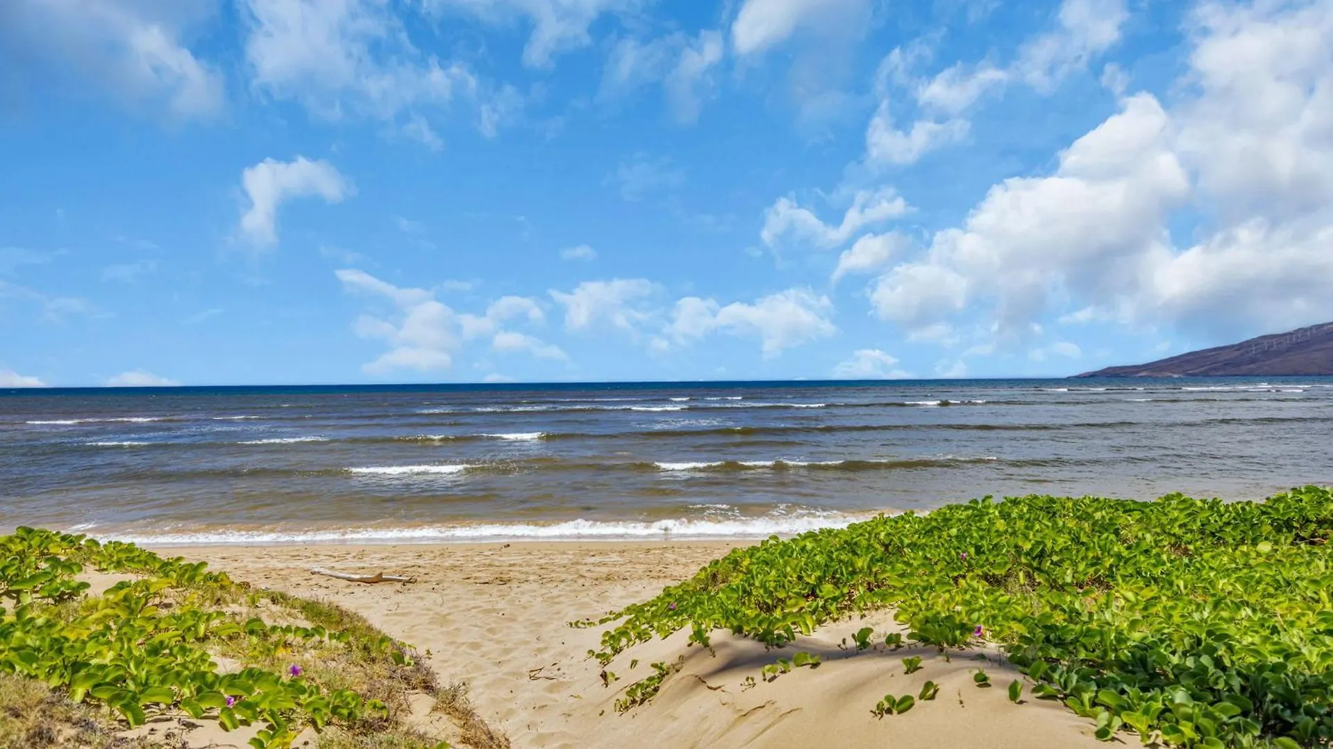Villa Hale Kai O'Kihei 118 Stati Uniti
